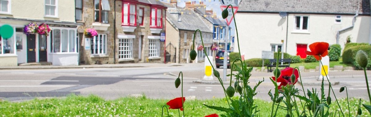 poppies carousel 2.jpg